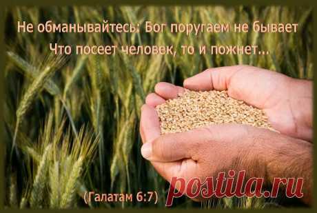 Православие ✔Послание ап. Павла Галатам 6:7
