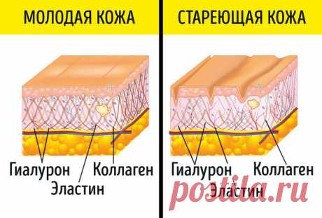 9 добавок, которые работают лучше и стоят дешевле любого крема от морщин