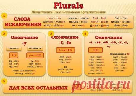 Множественное число существительных / Неформальный Английский