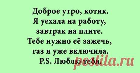 Прикольные и ироничные шутки для поднятия настроения