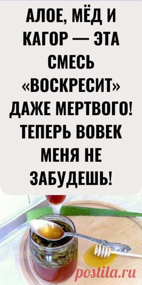 Алое, мед, кагор — эта смесь “поднимет” даже мертвого!