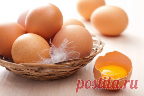 Ученые рассказали всю правду о куриных яйцах - Медицина 2.0
