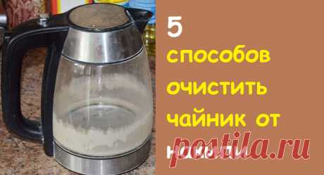 Как очистить чайник от накипи: 5 способов | nakonu.com