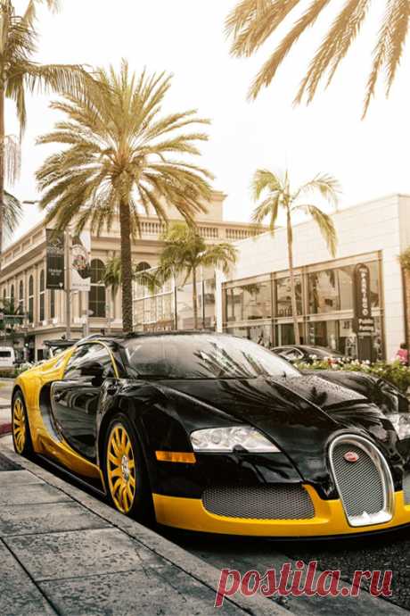 italian-luxury:
“Beverly Hills Bugatti
”