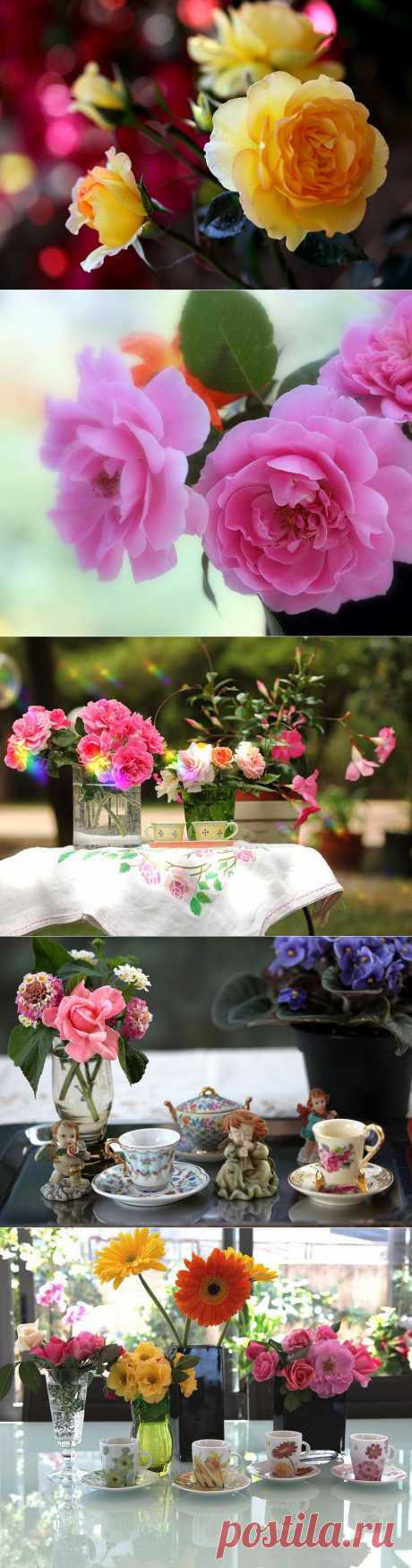 Красивые цветы в вазах и корзинах