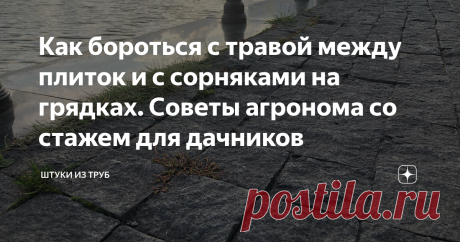 Как бороться с травой между плиток и с сорняками на грядках. Советы агронома со стажем для дачников Взял интервью у известного агронома Андрея Лозового. Сейчас как раз наступает дачный сезон, поэтому, уверен, эти советы будут очень кстати. Гербициды (препараты против сорняков) у нас не особо популярны. Дело в том, что мы очень стараемся, чтобы фрукты и овощи были экологически чистыми, приносили только пользу… А зачем еще нужна дача? Но есть случаи, когда без помощи гербици...