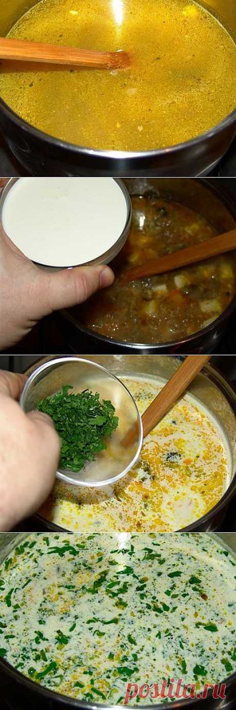 Суп из вешенок / Блог им. MariaKravchenko / TVCook: пошаговые рецепты c фото