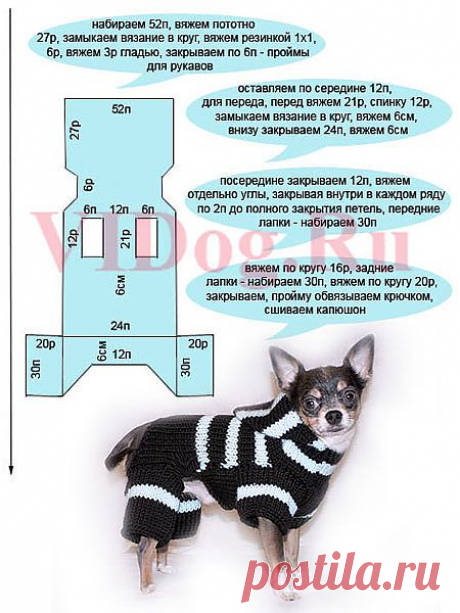 Вязание комбинезона по схеме - Мой ши-тцу