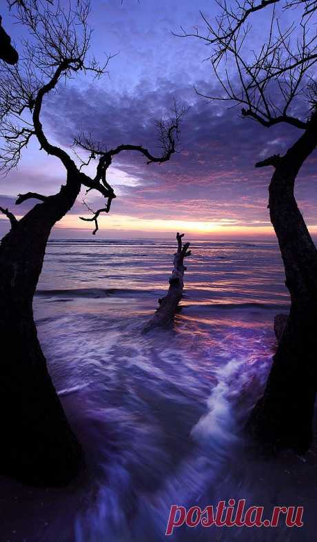 Sunrise, Batu Hitam Beach, Malaysia! | Tree &amp;amp; Path
