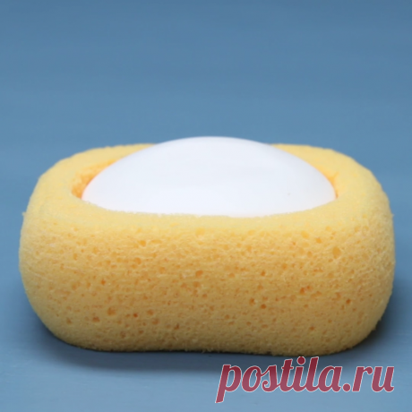 Soap Dish Sponge! fσℓℓσω мє fσя мσяє!