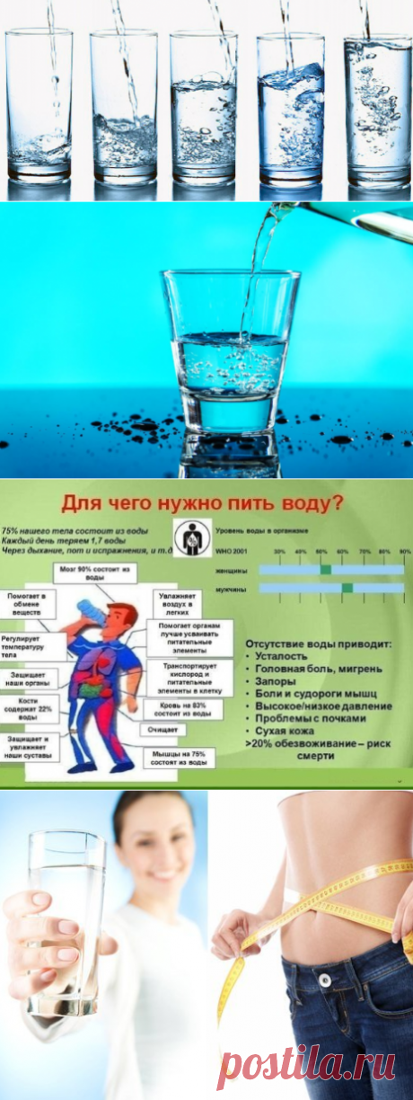 Как правильно пить воду для здоровья и чтобы похудеть? График приема питьевой воды | Кладовая здоровья | Яндекс Дзен