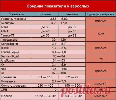 биохимический анализ крови расшифровка у взрослых норма в таблице — Яндекс: нашлось 7 млн результатов