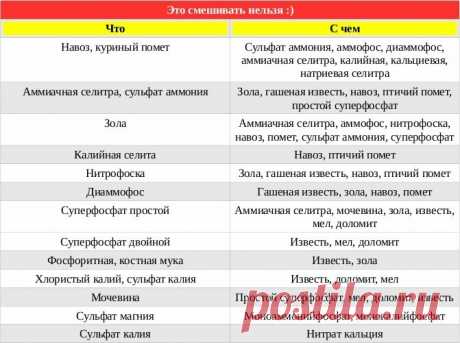 Не было хорошего урожая клубники, пока не узнала секрет весенних подкормок | Prosad.ru: Все про сад и дачу | Яндекс Дзен