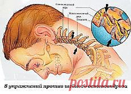 Письмо «❀ Ирисы. 5 полезных таблиц. Интересный мотив. Домашние шампуни. Крем Рафаэлло. Шейный остеохандроз. Дачные идеи. Сумасшедший автобус // Кусочек Постилы к чаю!» — Постила — Яндекс.Почта