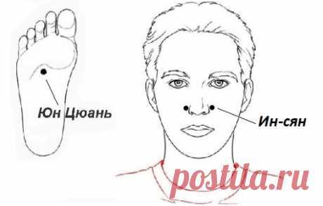 Правила китайской медицины для сохранения здоровья...