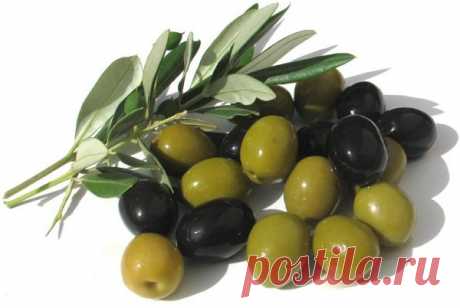 Диета с оливками — потеря веса и омолаживание всего в одной ягоде