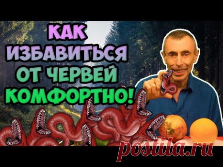 КАК ИЗБАВИТЬСЯ ОТ ЧЕРВЕЙ КОМФОРТНЫМ МЕТОДОМ! Фильм- 1. Виталий Островский  Паразиты, глисты