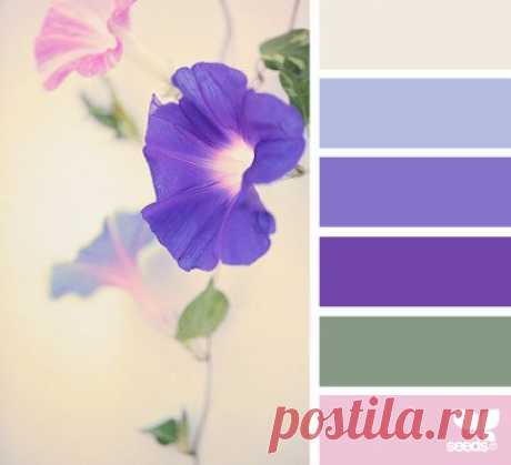 Design Seeds® | for all who ❤ color | flora hues