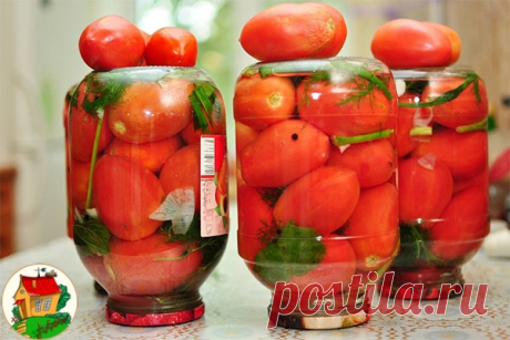Консервирование помидоров c малиновыми листьями | OK.RU