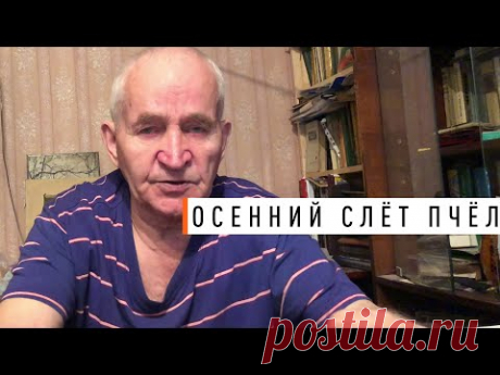 Осенний слёт пчёл. Кашковский В.Г. - Парк Плюс