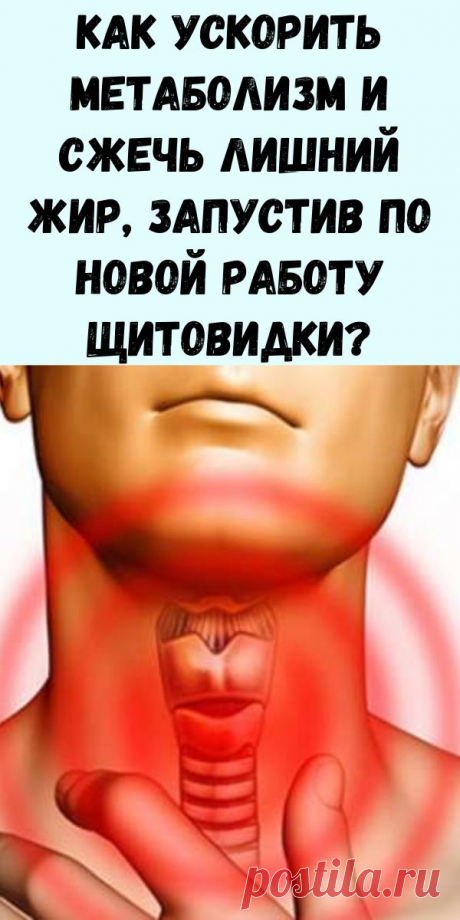 Как ускорить метаболизм и сжечь лишний жир, запустив по новой работу щитовидки? - Журнал для женщин