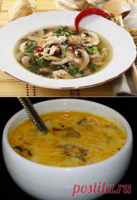 Супы с шампиньонами: 7 вкусных рецептов на каждый день / Простые рецепты