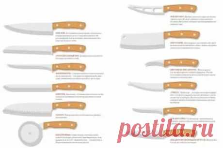 Как выбрать правильный нож? Инфографика - АиФ Кухня - 13 марта - 43057349642 - Медиаплатформа МирТесен