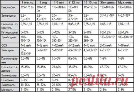 КЛИНИЧЕСКИЙ АНАЛИЗ КРОВИ. НОРМА СОХРАНИ СЕБЕ, ВСЕГДА ПРИГОДИТЬСЯ