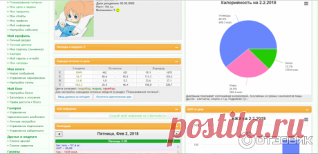 Отзыв о Calorizator.ru - анализатор калорийности продуктов | Помог разобраться с рационом.