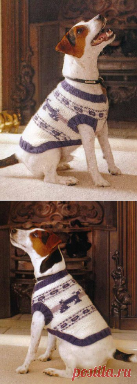 Вязаный свитер для собаки — HandMade