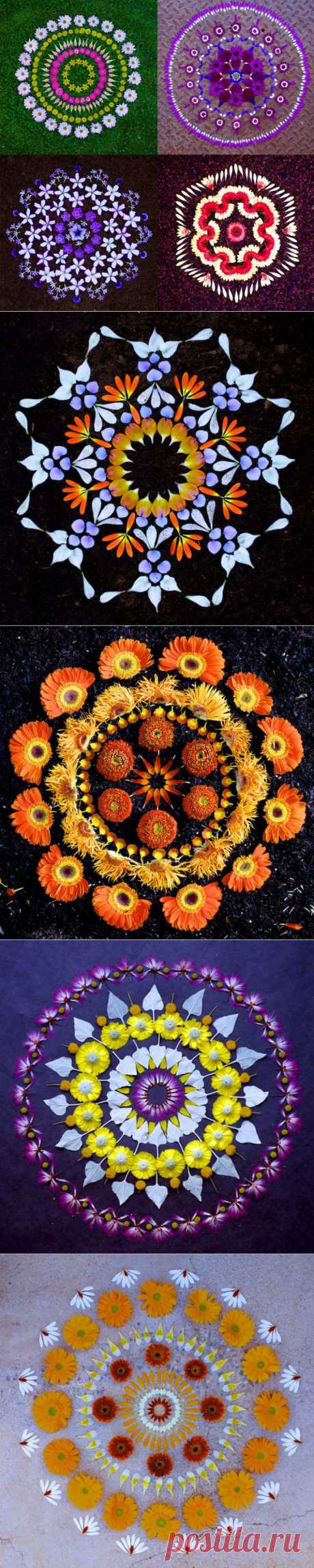 (+1) - Великолепные гирлянды из цветов от Кэти Клейн | Искусство