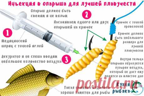 Воздушная инъекция в опарыша для лучшей плавучести | Кухня рыбака | Яндекс Дзен