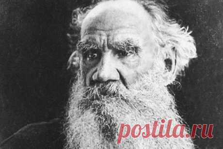 Как отличить достойного человека от жалкого: цитаты Льва Толстого