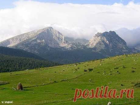 Фејсбук
Savin Kuk (2313 m) on the left, Medjed (2287 m) on the right and Sljeme (2455 m) between them (in the clouds), view from the grassy slopes of beautiful Pitomine vasty plateau above Zabljak town. From Pitomine plateau you can enjoy in unforgetable sceneries of DURMITOR massif.