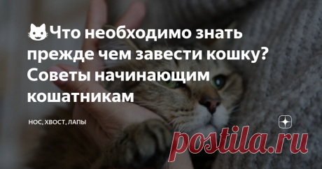 😺Что необходимо знать прежде чем завести кошку? Советы начинающим кошатникам У многих наступает момент, когда приходит желание завести котика. У кого-то эта мысль приходит после завтрака, кто-то вынашивает ее несколько недель.  Прежде чем приводить в дом котенка или взрослую кошку, нужно продумать некоторые вопросы. Начнем с себя
 Важно поделиться мыслью о кошке со всеми членами семьи. Все согласны? Хорошо. Нет? Выясняем причину. Это еще не все. Нужно узнать, есть ли у ко...