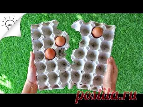 8 творческих идей с коробкой для яиц