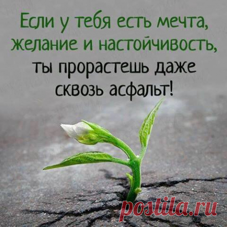 Именно такие качества требуются для успеха! 
Все самое интересное построишь ты сам!