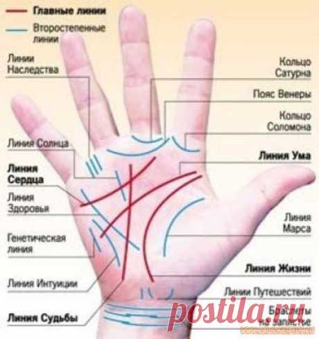СЕКРЕТЫ ХИРОМАНТИИ: О ЧЕМ ГОВОРИТ ВАША ЛИНИЯ БРАКА?
Традиционно линиями брака называют небольшие горизонтальные черточки, расположенные под мизинцем. Лучше всего их можно рассмотреть, сжав ладонь в кулак и повернув к себе ребром ладони.