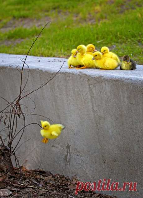 500px / WEEEEE by walter collis