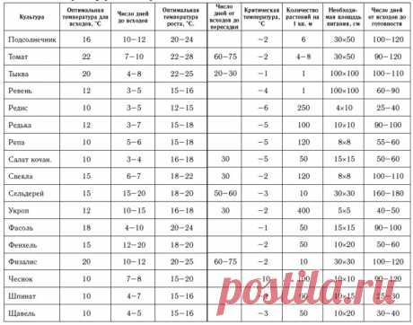 Сколько дней прорастают семена? Таблицы | Дача