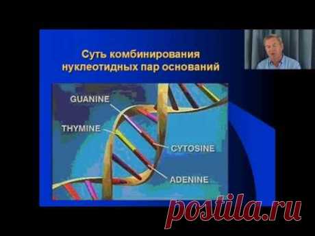 Клёсов А.А. Лекция 2: Основные положения ДНК-генеалогии