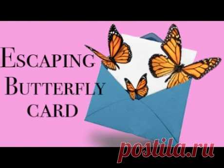 Escaping butterfly card - DIY