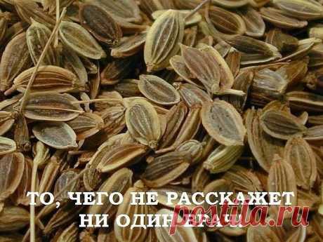 Лечение поджелудочной железы народными средствами. Рецепты моей бабушки

То, чего не расскажет ни один врач!

Поджелудочная железа — один из важных внутренних органов
человеческого тела, который отвечает за наше пищеварение. Сбой в работе поджелудочной чреват осложнениями и целым рядом заболеваний, таких как панкреатит или сахарный диабет. К счастью, есть прекрасные народные средства, которые помогают лечить этот орган не хуже лекарств. Если у вас есть проблемы с этим важн...