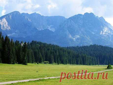 (3) Фејсбук 
Mountainbikers below Durmitor massif. Peaks from left: Savin Kuk (2313 m), Sljeme (2455 m, behind) and Medjed (2287 m). Photo was taken from the way to Churevac viewpoint of Tara Canyon.