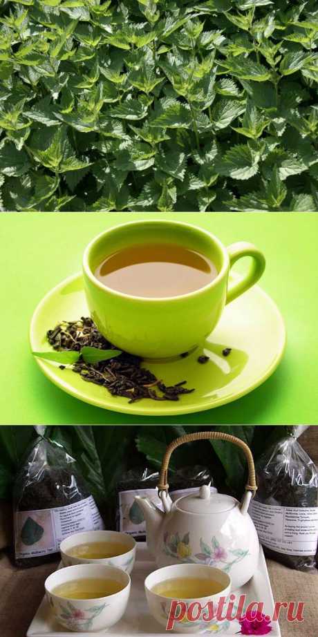 (+1) тема - 10 лучших травяных чаев для похудения | ЗДОРОВЫЙ ОБРАЗ