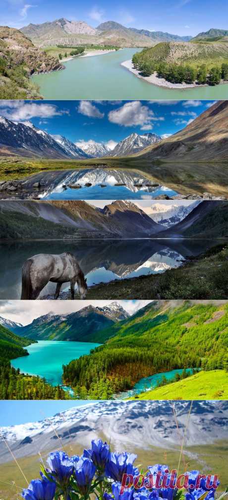 Фото галерея - Фотоальбом ледника Софийиский !