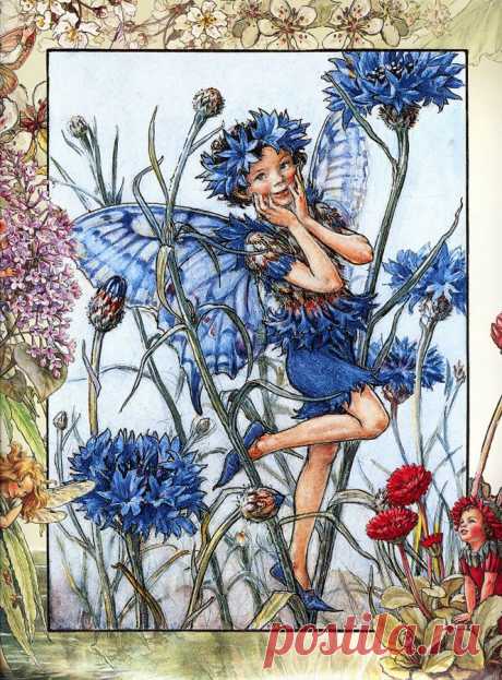 Красивые сказочные открытки Сесиль Мэри Баркер
