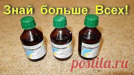 Меновазин: стоит копейки, а лечит 13 болезней! Почему я не знала этого раньше?!
Пузырёк меновазина обойдётся вам дешевле 24 рубля ($0,38), но это средство помогает от множества недугов. В частности:
1. Ангина.
При ангине советуют натереть больное горло меновазином и укутаться. От насморка также полезно нюхать меновазин, поочерёдно закрывая ноздри.
2. Бессонница.
Смочите ватный тампон меновазином и протрите шею в затылочной части от уха до уха. Это позволит вам быстро засну...