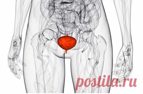 Совет врача: Диагностика и лечение цистита