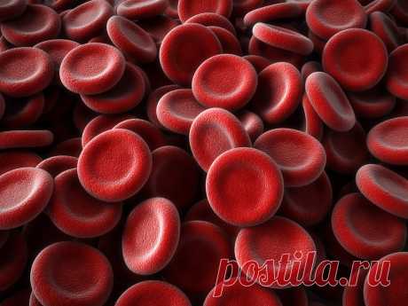 Густая кровь: причины, симптомы, лечение у мужчин и женщин, сколько в норме составляет вязкость крови, последствия